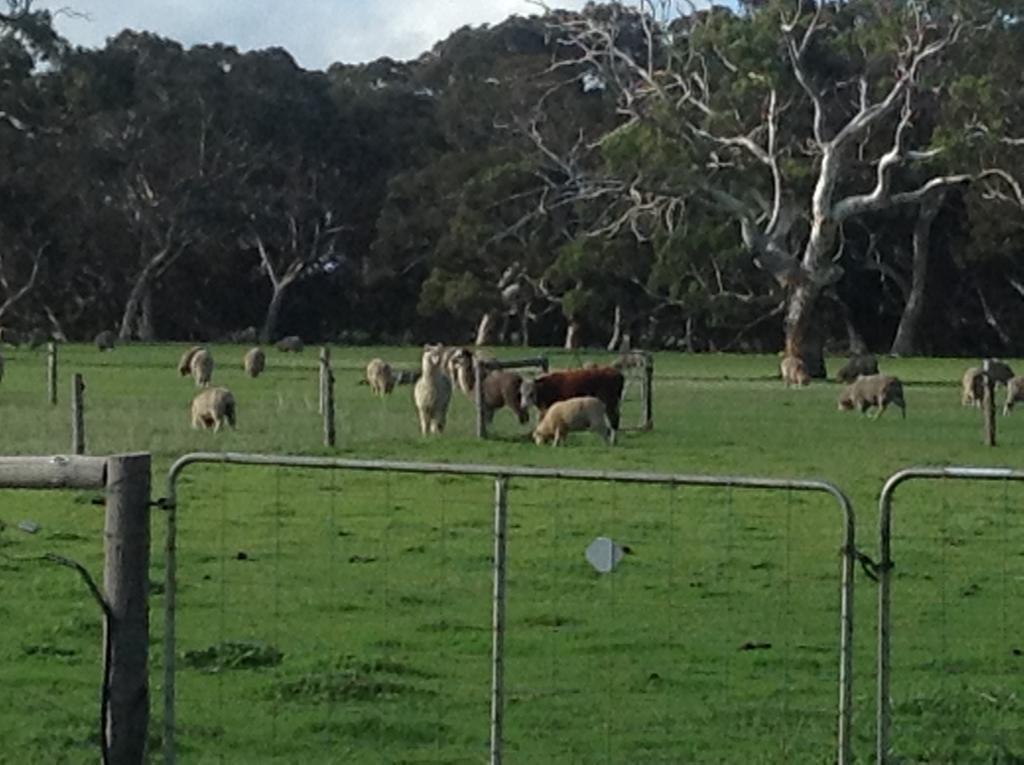 Breakaway Farmstay Encounter Bay Exterior photo